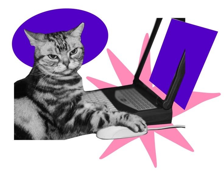 A cat at a laptop with a computer mouse representing managing vs logging into an ad account